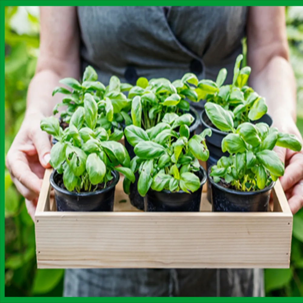 “We are A New Kind of Neighborhood That Grows Its Own Food”