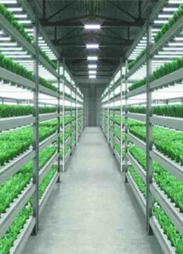 Financial Inst survey thumb